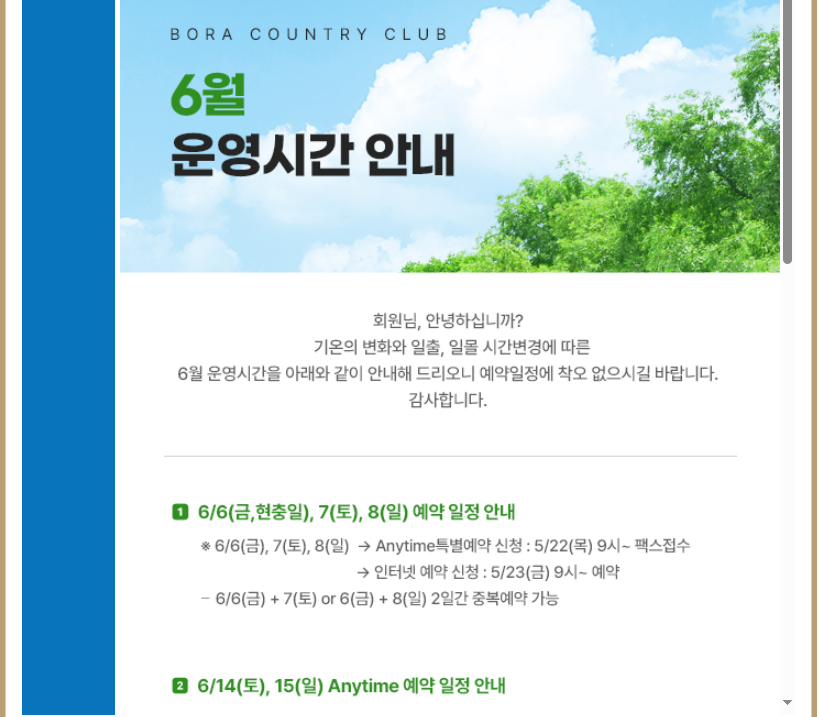 보라1.png