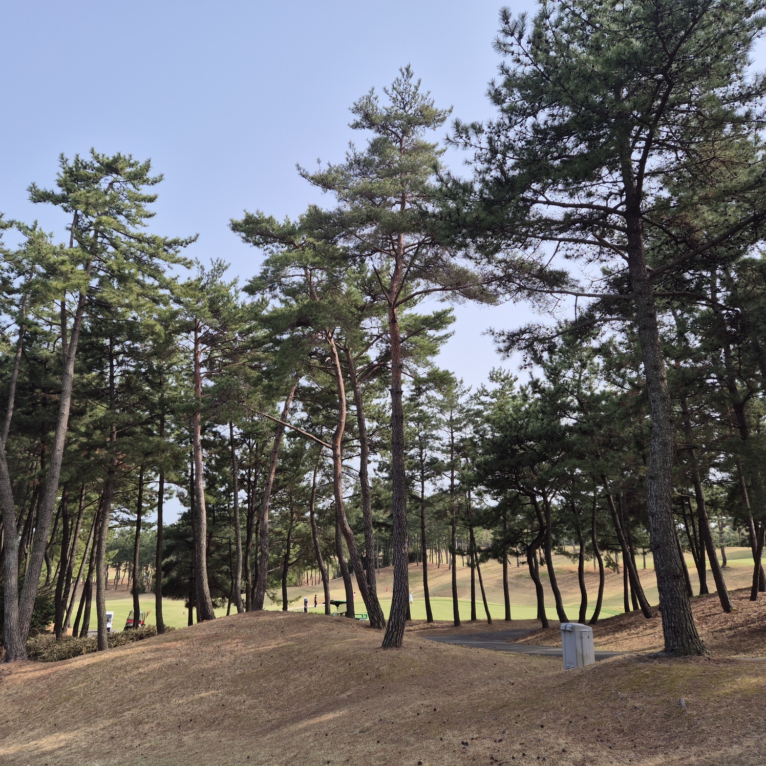 KakaoTalk_20250422_174530134_02.jpg