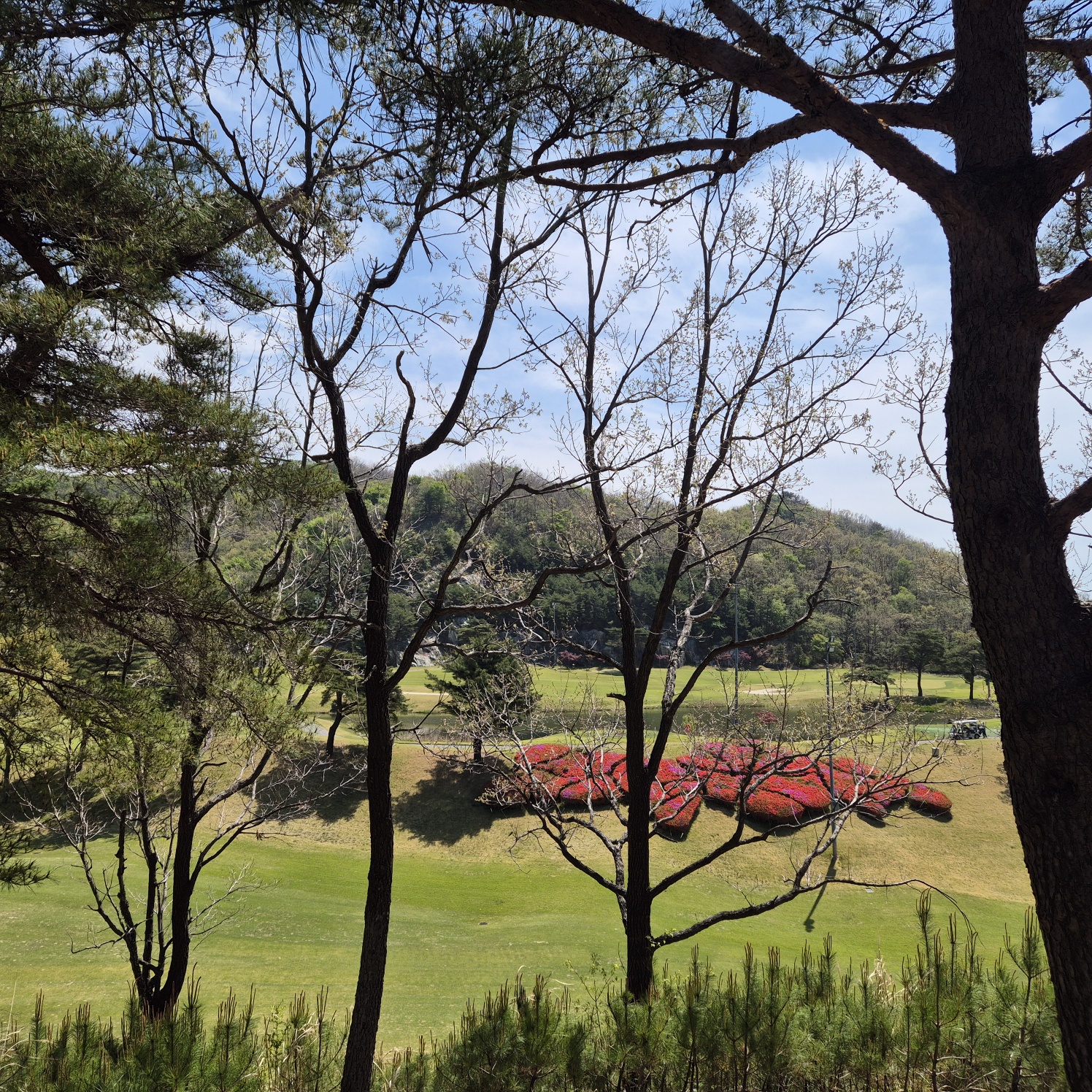 KakaoTalk_20250429_115815499_05.jpg