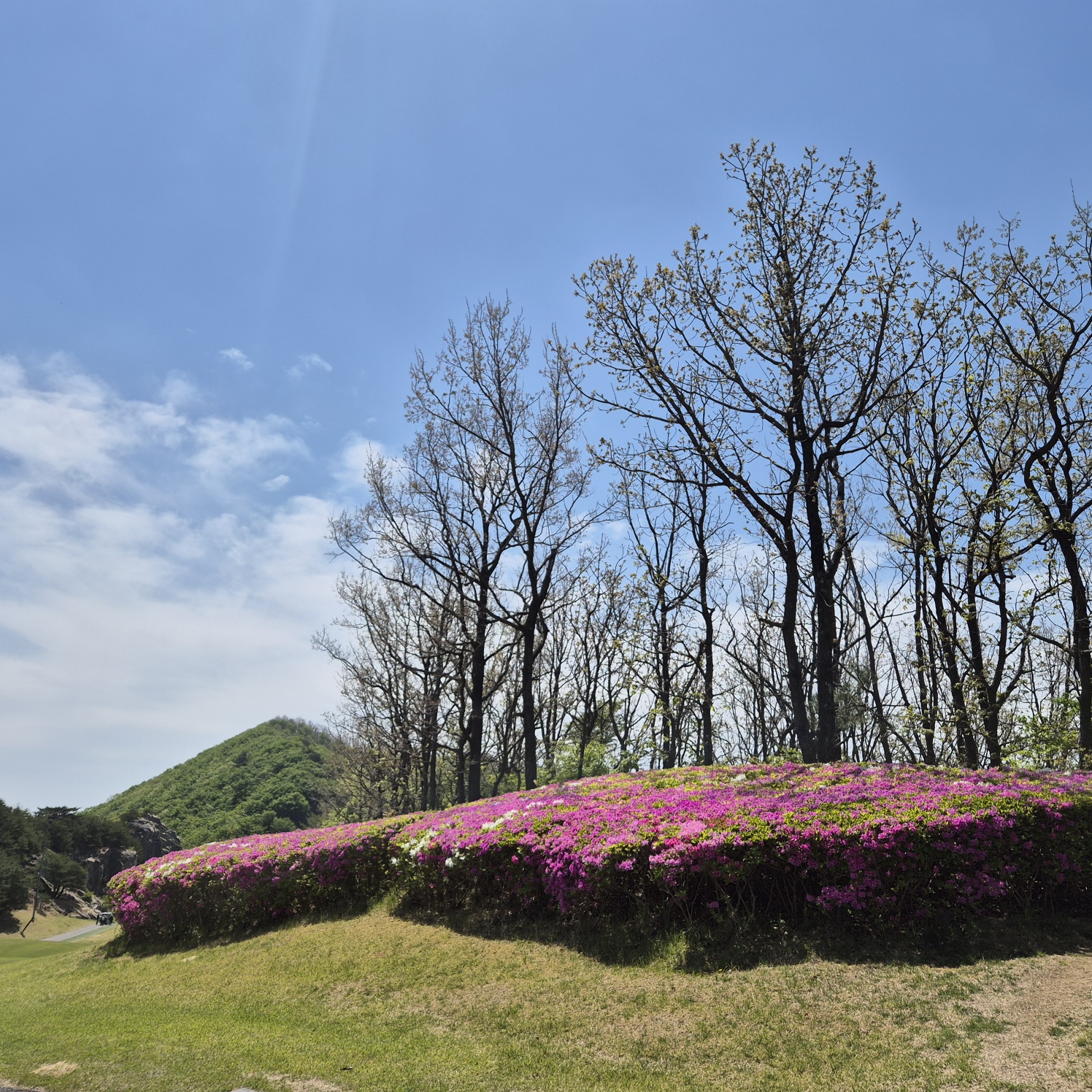 KakaoTalk_20250429_115815499_03.jpg