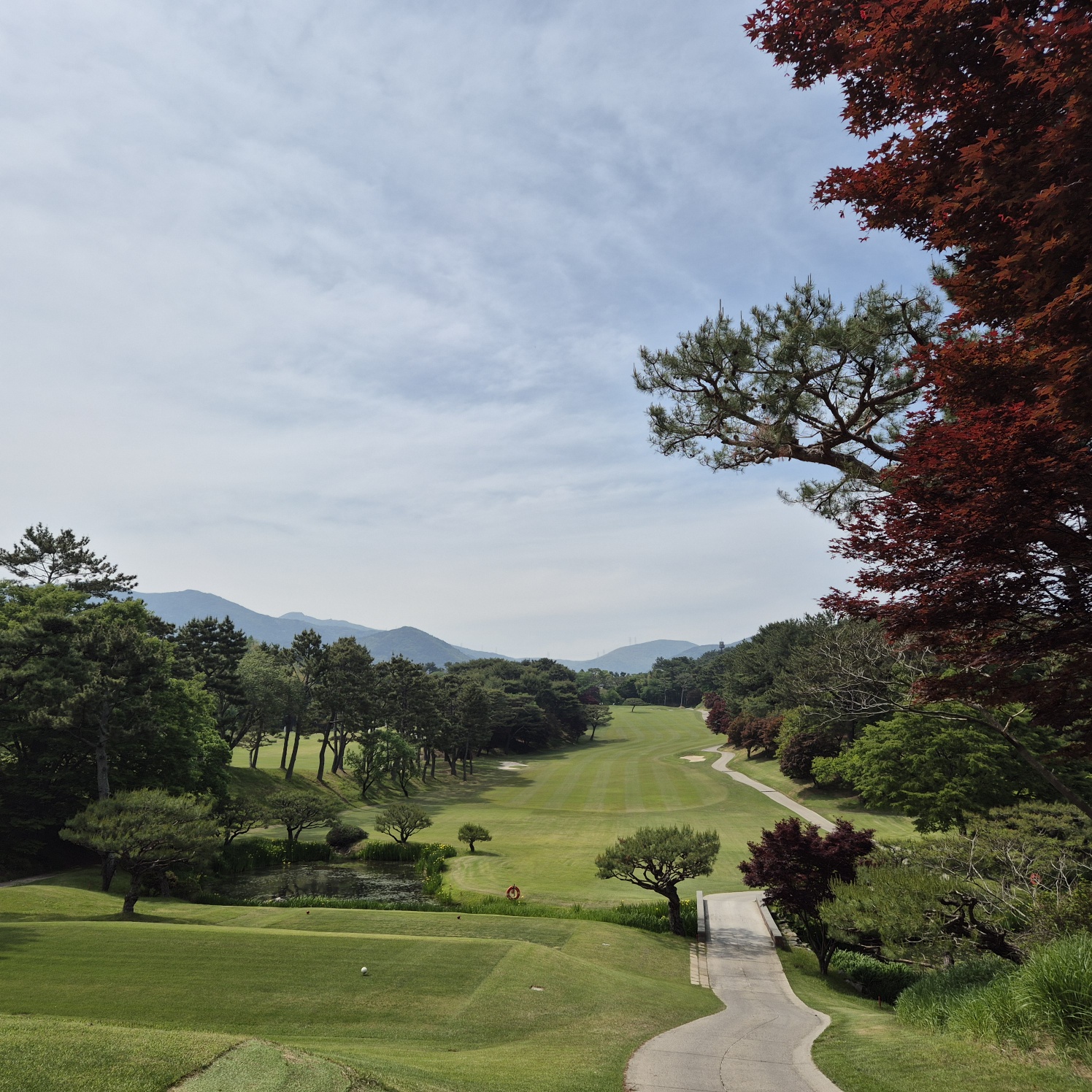 KakaoTalk_20250515_163930126_06.jpg