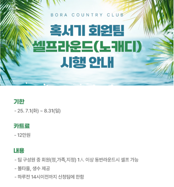 보라1.png
