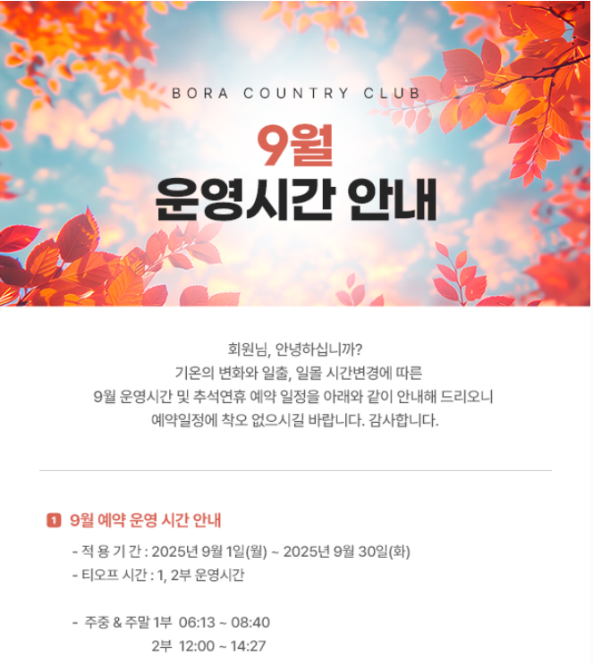 보라1.png