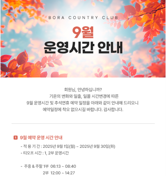 보라1.png