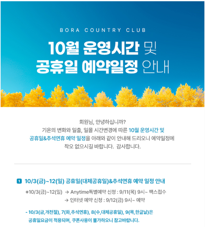 보라1.png
