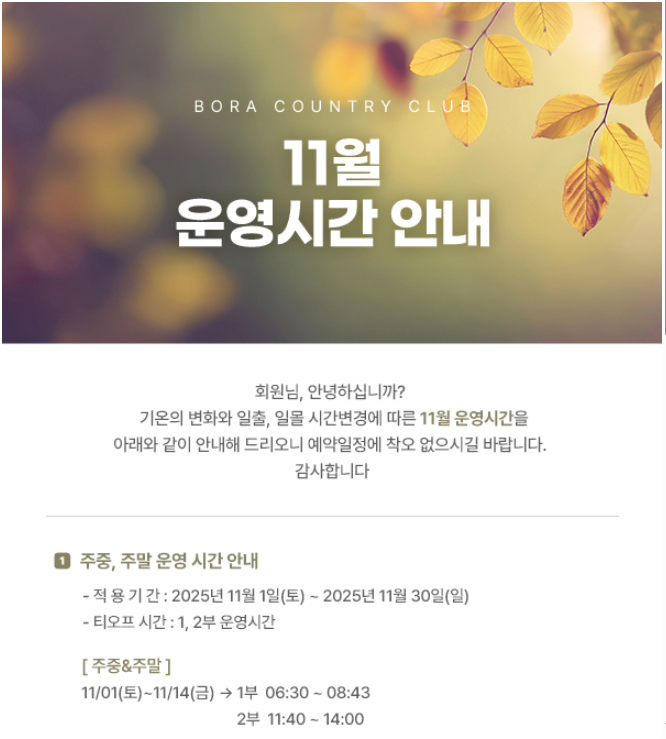 보라1.png