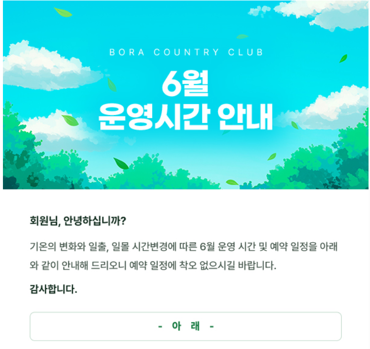 보라1.png