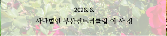 부산2-1.png