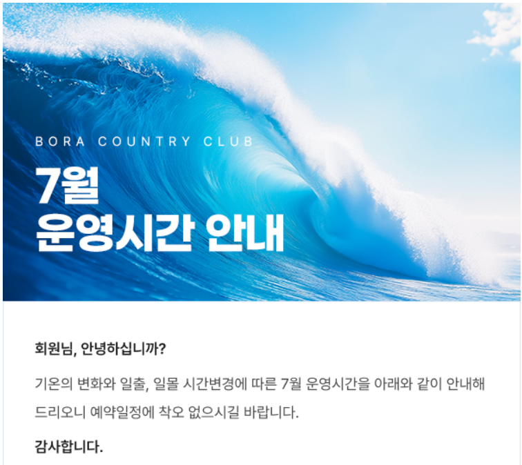 보라2.png