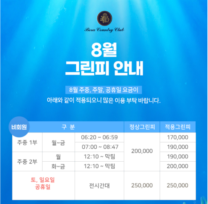 보라1.png