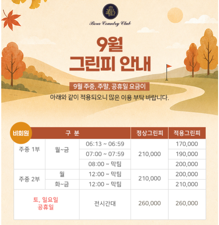 보라1.png