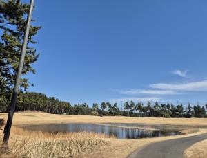 26년 베이사이드cc 라운딩♥